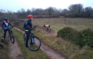 Bach en fin d'année 2021