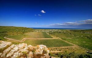 CLUB - RAID dans l 'Aude - massif de la Clape