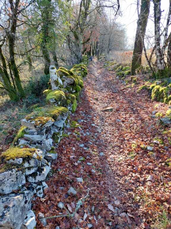 CLUB - Rando Montricoux