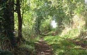 CLUB - Rando Anglars - Cazals - Brousse