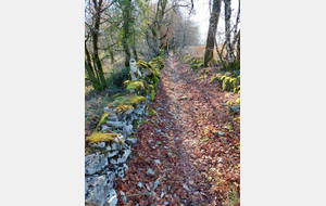 CLUB - Rando Montricoux