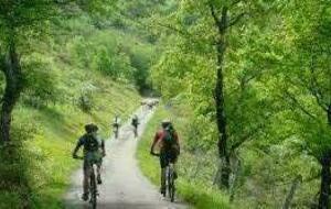 CLUB - rando à Verdun sur Garonne