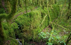 CLUB - Rando des moulins - VAOUR