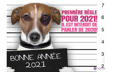 Meilleurs Vœux 2021