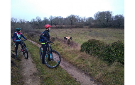 Bach en fin d'année 2021