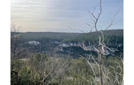 Activités périscolaires du mercredi après-midi