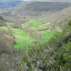 CLUB - Rando à Saint Cirq (82)